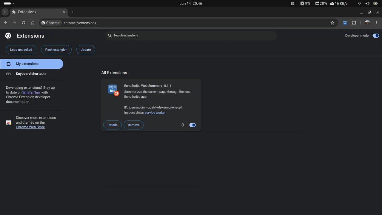 EchoScribe browser extension popup with provider and language controls